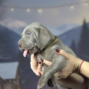 Thumbnail for the listing's main image